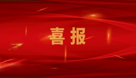 熱烈祝賀我公司通過(guò)山東省制造業(yè)單項(xiàng)冠軍企業(yè)復(fù)核！
